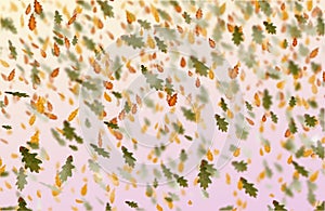 Bright oak leaves autumn background.