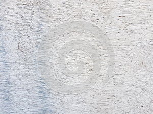 Bright one piece texture wood background with gnarls and fungus