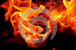 The bright orange background consists of burning materials.