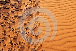 Bright orange desert sand textures and patterns for warm background and summer background
