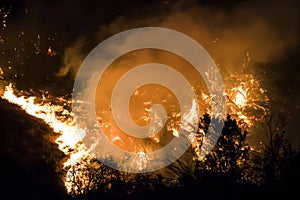 Bright Orange Flames and Embers Burn at Night During California Fire