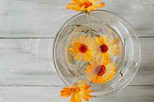 Bright orange marigold flowers in a glass vase with water on a light wooden table, top view
