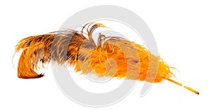 Bright orange ostrich's feather