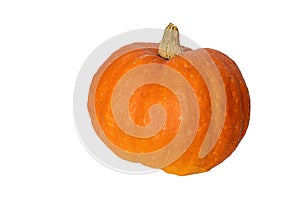 Bright orange pumpkin on white background
