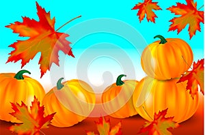 Bright orange pumpkins and falling red maple leaves on a blue autumn background. Seasonal banner or card with copy space