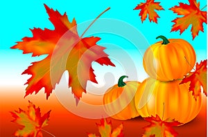 Bright orange pumpkins and falling red maple leaves on a blue autumn background. Seasonal banner or holiday card. Vector
