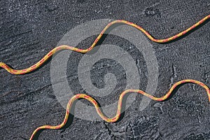 Bright orange rope lying diagonal on a texured roofing felt surface with many small cracks