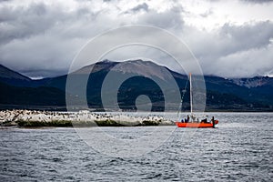 bright orange sailboat visiting the beagle channel, with rocky islands inhabited by cormorants. Ushuaia, Argentina