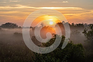 Bright Orange Sun Rises Over Foggy Morning In The Everglades