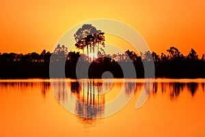 Bright orange sunset reflected in calm water of Pine Glades Lake in Everglades. photo