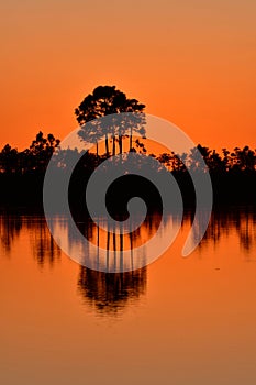 Bright orange sunset reflected in calm water of Pine Glades Lake in Everglades. photo