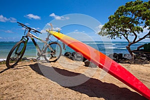 Bright orange surfboard and mountain bike on beach