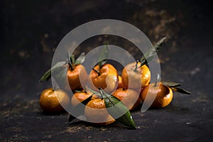 Bright orange Tangerines on black background