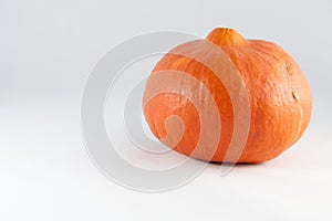 A bright orange Uchiki Kuri pumpkin (Cucurbita maxima) against a white background