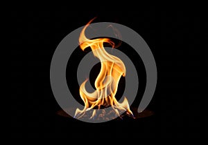 Bright orange and yellow flames rise sinuously from a fire pit against a black background. The fire
