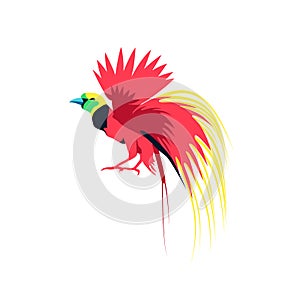 Bright parrot exotic tropical bird