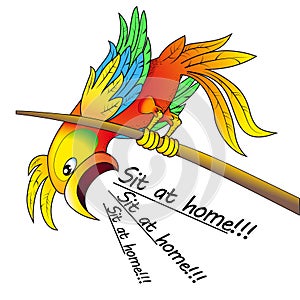 bright parrot shouting: