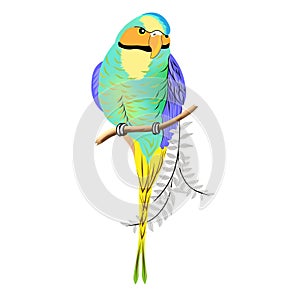 A bright parrot sits on a branch