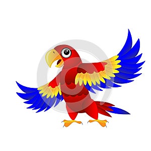 Bright parrot on white background