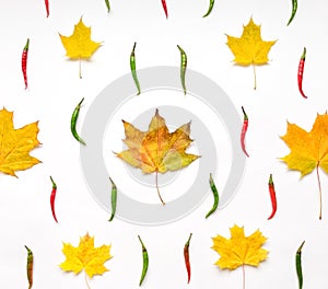 Bright pattern with autumn leaves and peppers on white background. Flat lay, view from above