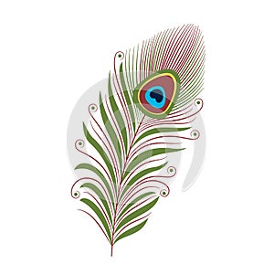 Bright peacock feather decorated with curls and circles