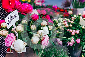 Bright peonies in a bucket are sold on the flower market