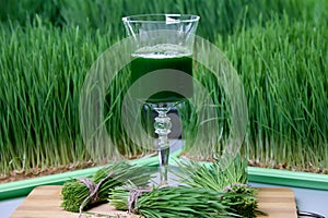 Bright photo of healthy nutritious drink in glass against background microgreens