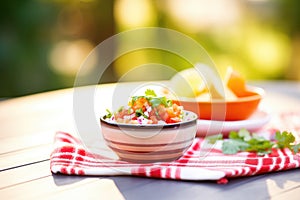 bright pico de gallo on a sunny picnic table setting