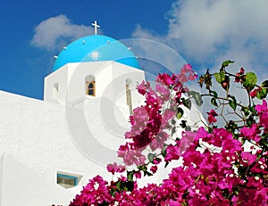 Bright pink bougainvillea flowers against the backdrop of a snow-white church. Santorini island. Greece