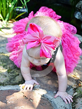 Bright Pink Bow