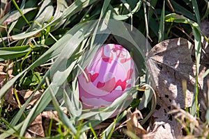 Bright pink camouflage Easter egg hidden in green grass and brown leaves