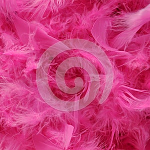 Bright pink feather boa