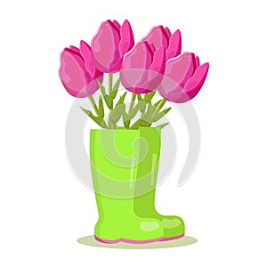 bright pink flowers tulips in rubber boots