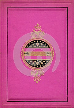 Bright Pink and Gold Decorative Frame