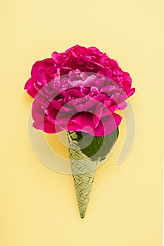 Bright pink peony in waffle ice cream cone on a yellow background.