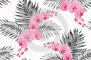 Bright pink purple orchid phalaenopsis exotic flowers greyscale tropical jungle palm tree leaves seamless pattern. photo