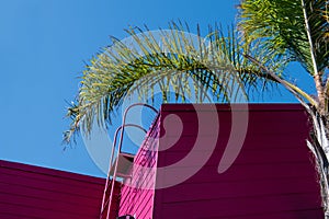 Bright pink tropical style building with wood siding under a blue sky and palm tree fronds