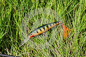 Bright predator bait to spinning on green grass