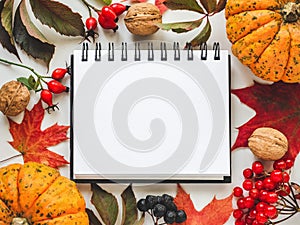 Bright pumpkins, leaves, berries and flowers on the table.