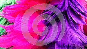 Bright purple and shocking pink feather sparkling colourful background and texture