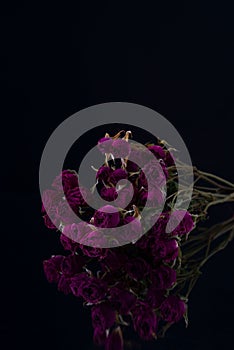 bright purple small flowers dry roses on black