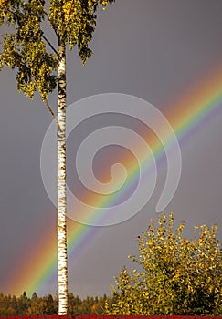 Bright rainbow against the background of an autumn dark sky