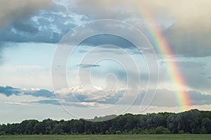 Bright rainbow in beautiful cloudy sky. Landscape of spring forested valley