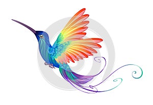 Bright Rainbow Hummingbird on white background