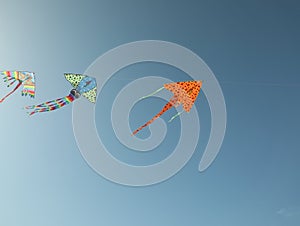 Bright rainbow kites in blue sky, low angle view