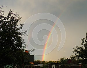 Bright rainbow over the garden.