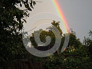 Bright rainbow over the garden.