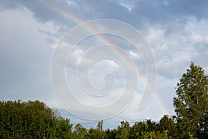 Bright rainbow in the summer over the apple orchard