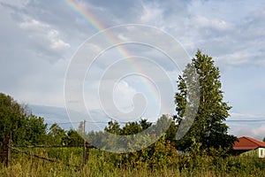 Bright rainbow in the summer over the apple orchard