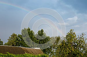 Bright rainbow in the summer over the apple orchard